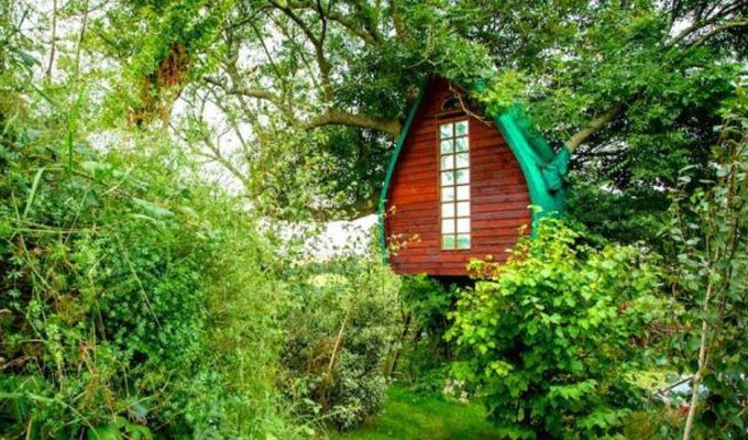 Чудный домик на дереве, пользующийся невероятной популярностью среди пользователей Airbnb (8 фото)