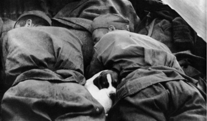 Фронт и тыл Великой Отечественной на снимках 14-ти военных фотографов (124 фото)