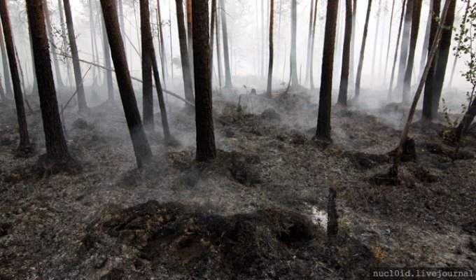 О лесных пожарах под Екатеринбургом (36 фото)