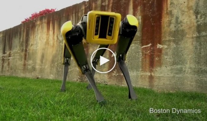 Boston Dynamics показала обновленную версию шагающего робота SpotMini