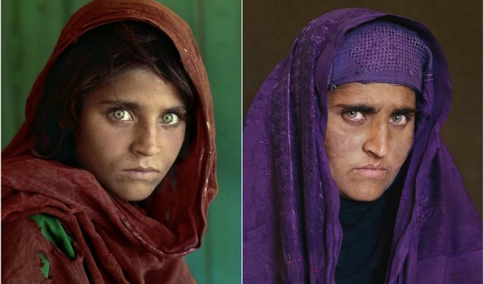 Как сложилась судьба «афганской девочки», изображение которой разместили на National Geographic (8 фото)