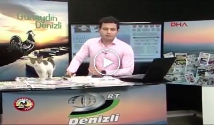 Пушистый сюрприз в прямом эфире турецкой телевизионной программы