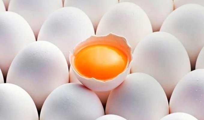 5 самых распространенных мифов о куриных яйцах (2 фото)