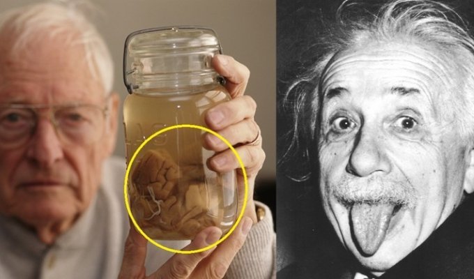 15 удивительных фактов об Эйнштейне, которых вы могли не знать (16 фото)