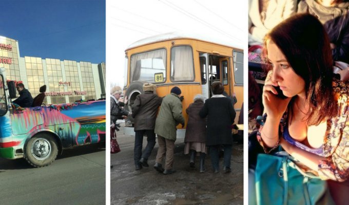 27 фотографий, после просмотра которых вы будете пользоваться исключительно общественным транспортом (27 фото)