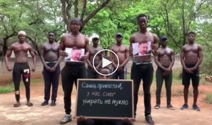 Африканцы записали видео для горе-губернатора Санкт-Петербурга Александра Беглова