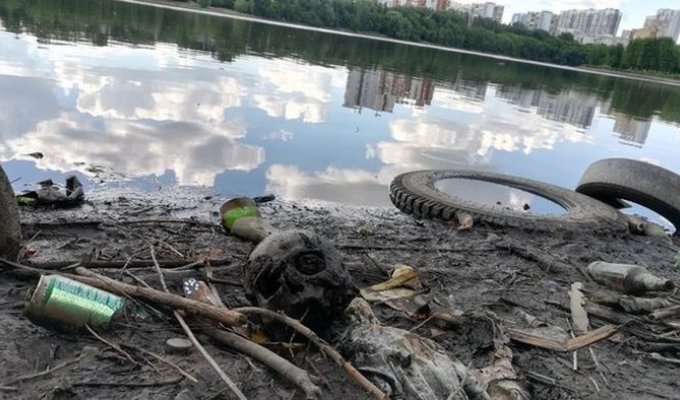 В Екатеринбурге в Городском пруде найден человеческий череп (2 фото)