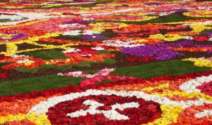 Огромный ковер из цветов (23 Фото)
