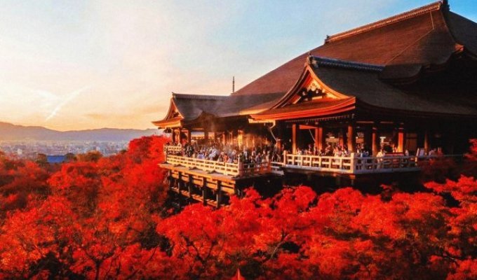Как выглядит осень в Японии (4 фото)