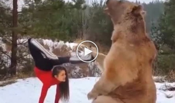 Необычная фотосессия с медведем