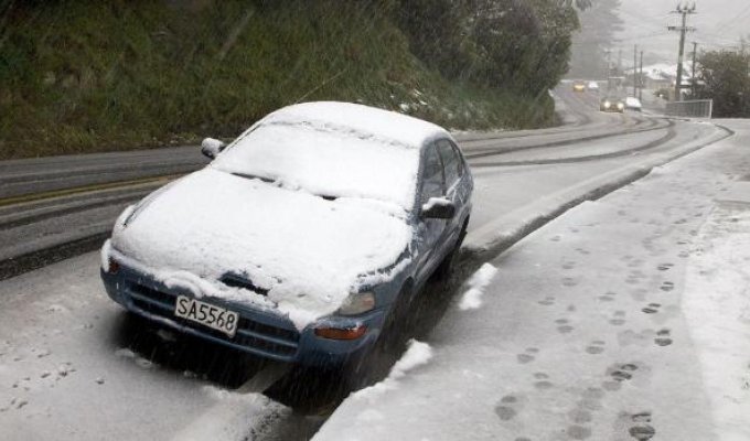 В Новой Зеландии идет снег (13 фото)