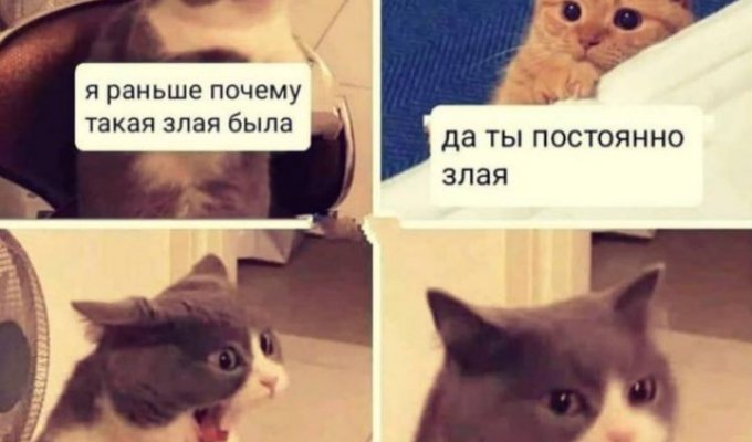 Лучшие шутки и мемы из Сети. Выпуск 601