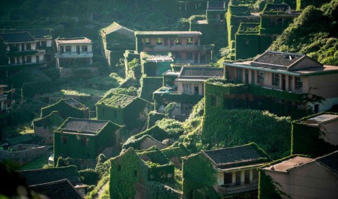 Китайская деревня-призрак, переходящая во власть природы (20 фото)