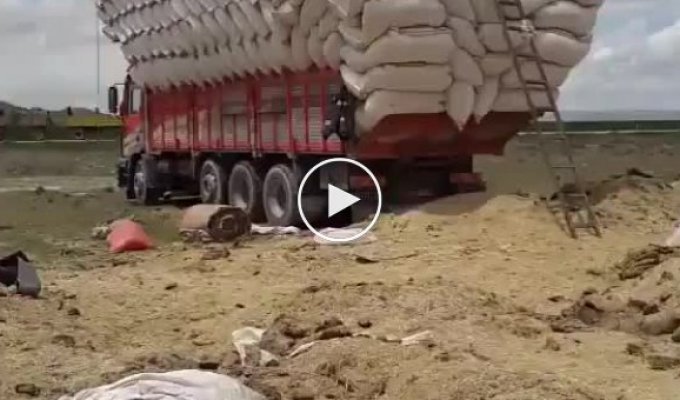 5 тонн сена уложили в грузовик