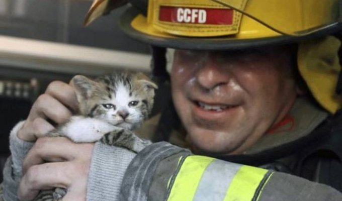 Пожарные и спасенные ими животные (46 фото)