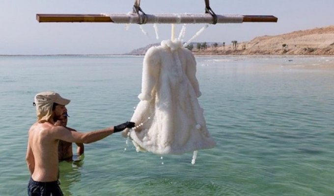 За два года в Мертвом море свадебное платье превратилось в произведение искусства (9 фото)