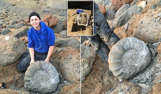 Британские студенты нашли на берегу древнего гиганта (6 фото + 1 видео)
