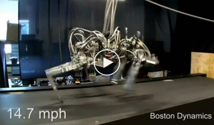 Невероятно быстро прыгающий робот