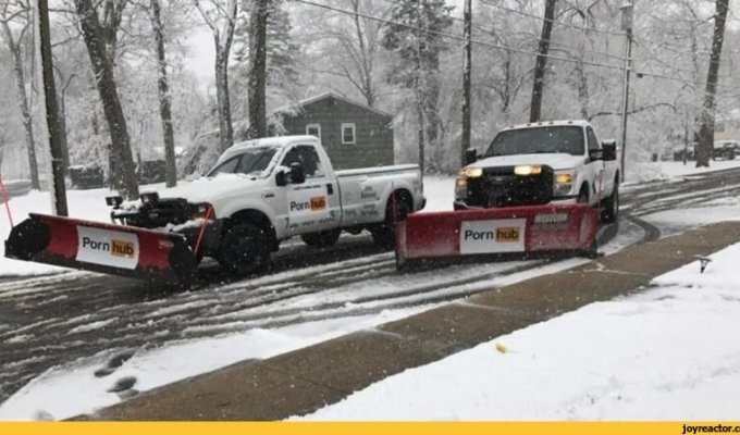 Компания Pornhub предложила помощь американцам во время снежной бури (3 фото)