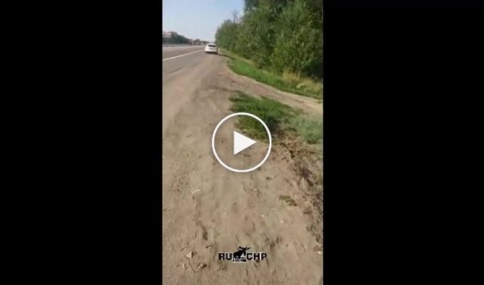 Два не вежливых человека на трассе. Драка с охранником камеры в Ростовской области (мат)