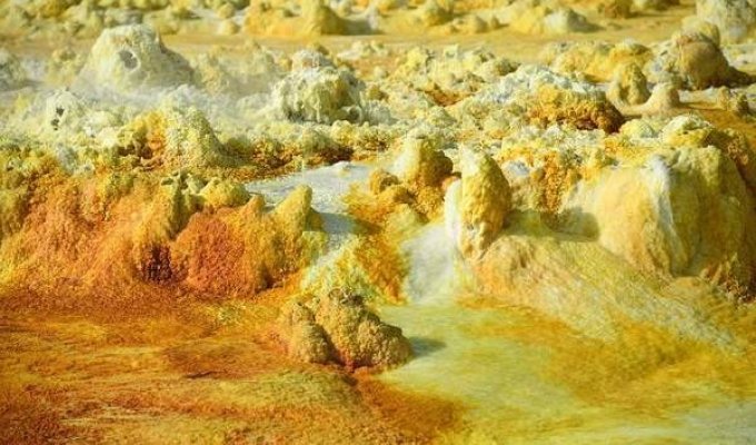 Данакильская соляная долина – самое безжалостное место на Земле (21 фото)