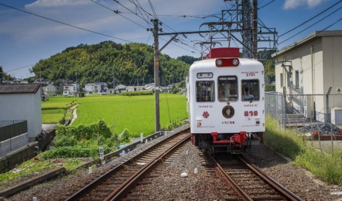 Невероятные экскурсионные поезда в Японии (9 фото)