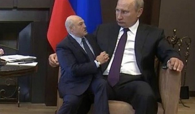 Владимир Путин выдал кредит Александру Лукашенко на 1,5 млрд долларов - шутки и мемы (19 фото)