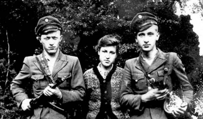 Как советское Запорожье легендарного бойца УПА "Кривоноса" встречало
