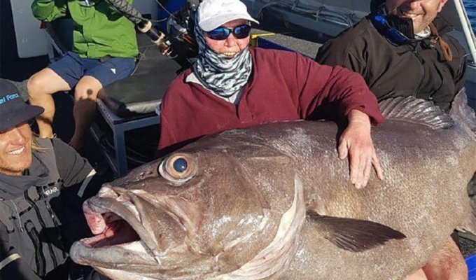 Пенсионерка поймала 60-килограммовую рыбу (3 фото)