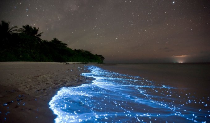 Светящийся планктон на пляже острова Ваадху (6 фото)