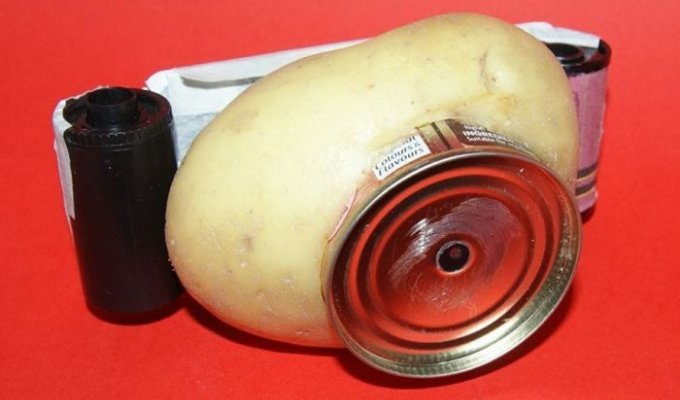 Австралиец собрал рабочую фотокамеру из картошки (6 фото)
