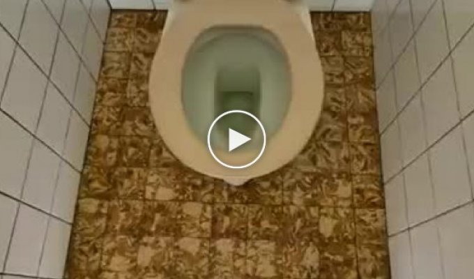Самый лучший туалет в мире - найден!