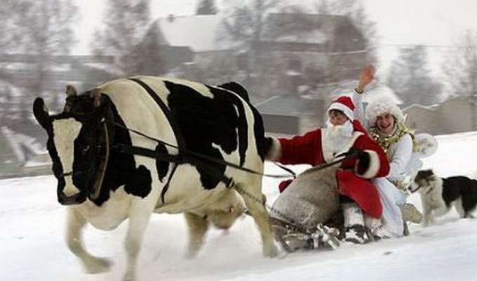 Дед Мороз - Позитивная фотоподборка (47 фото)