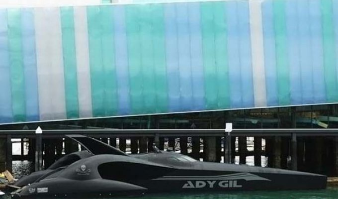 Эди Гил против китобоев (16 фото)