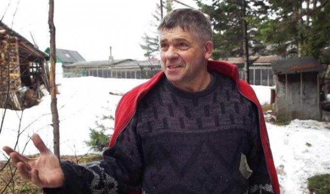 Иван Санжаров, мечтавший превратить Сахалин в остров кедров, вынужден уехать (10 фото)