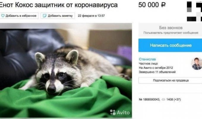 Россияне зарабатывают на коронавирусе (7 фото)