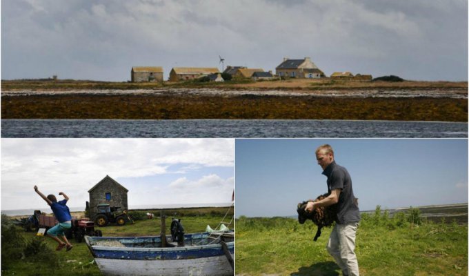 Французское правительство ищет пару для ухода за фермой на необитаемом острове (10 фото)
