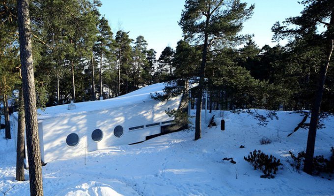 Дом из дерева в финском лесу (26 фото)