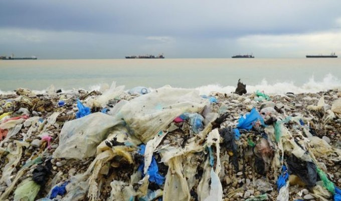 Пляжи Бейрута, заваленные мусором (7 фото)