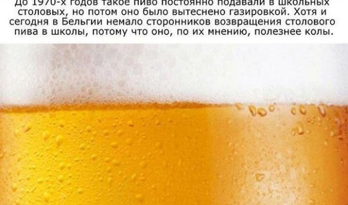 Интересные факты об алкоголе (16 фото)