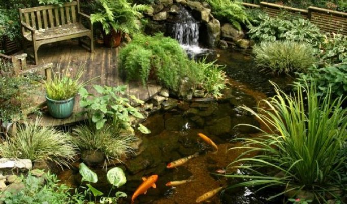 Сады на воде (10 фото)