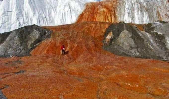 В Антарктиде есть Кровавый водопад (5 фото)