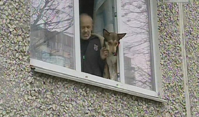 В Екатеринбурге соседи замуровали пенсионера в квартире из-за лая его собак (3 фото + 1 видео)