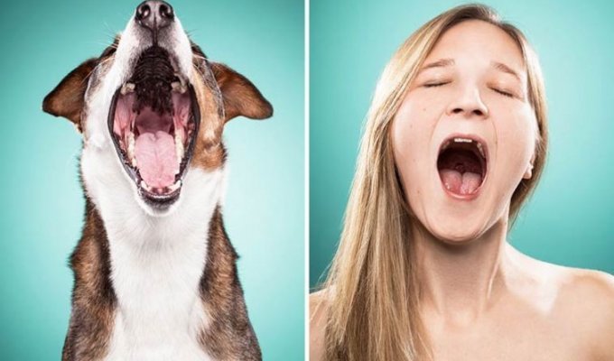 Как собаки: когда фотограф просит людей позировать как их собаки (28 фото)