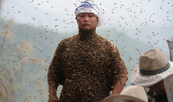Вы удивитесь, когда узнаете, зачем этот человек ходит в костюме из пчел (7 фото)