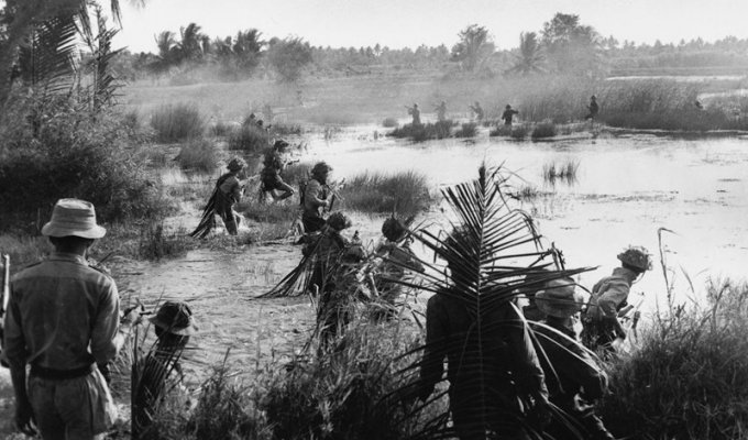 Вьетнамская война глазами вьетнамцев (16 фото)
