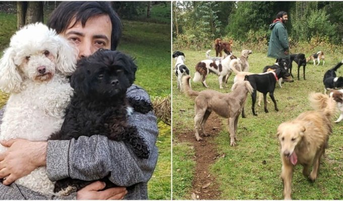 Семья с 30 животными нашла дом благодаря соцсетям (15 фото)