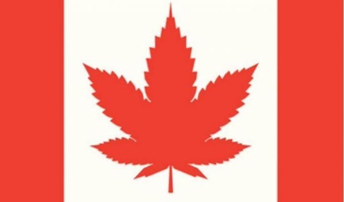 В Канаде легализовано употребление марихуаны       (2 фото)