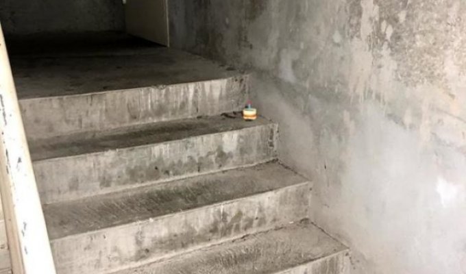 История одного мертвого таракана на лестнице (12 фото)