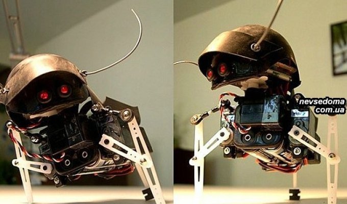 Swashbot R/C – очень забавный робот